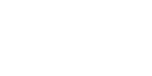 EAP – Entrepreneurial Accelerator Program